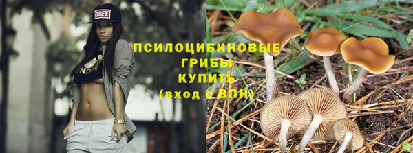 спайс Балабаново