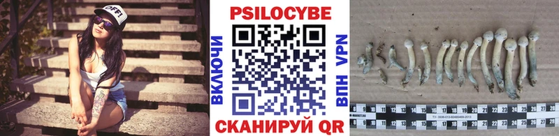 Псилоцибиновые грибы Magic Shrooms Ульяновск